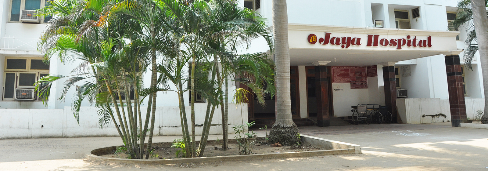 Main Branch